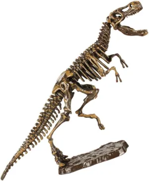 1Set Dinosaur Skeleton Excavation DIY Digging Kit for Educational Science Playset for Hands Learning Present for Birthdays Christmas Halloween