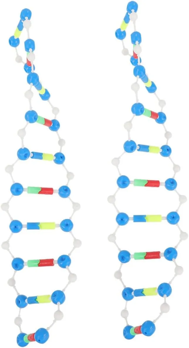 2pcs DNA Double Helix Model Kit for Education Self-Assembling Molecular Model Versatile Teaching Tool for Biology and Genetics Classes for Students and Research Institutions