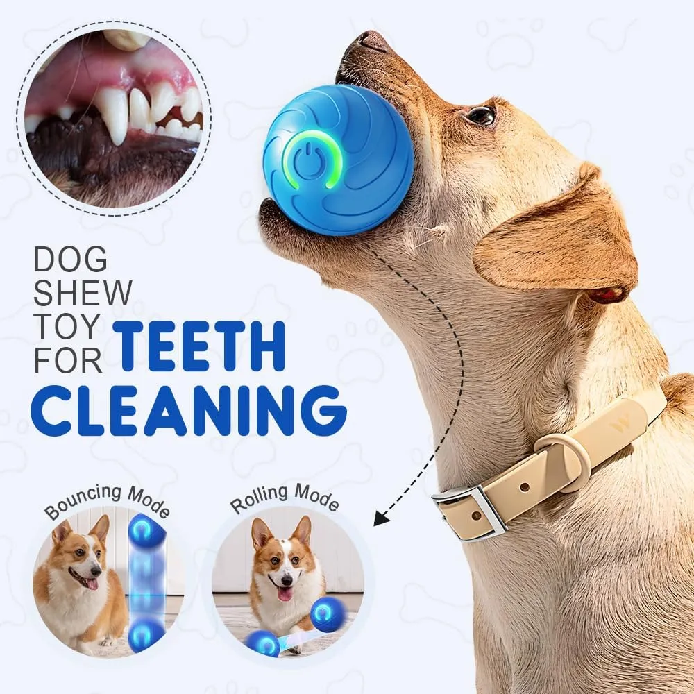 2PCS Duraspin Dog Ball, 2025 Upgrade Vibrating Dog Ball Interactive Pet Balls Shaky Toy, USB Rechargeable Smart Shaking Pet Bounce Balls Automatic Moving Pet Toy for All Dogs (#A1 #A2)