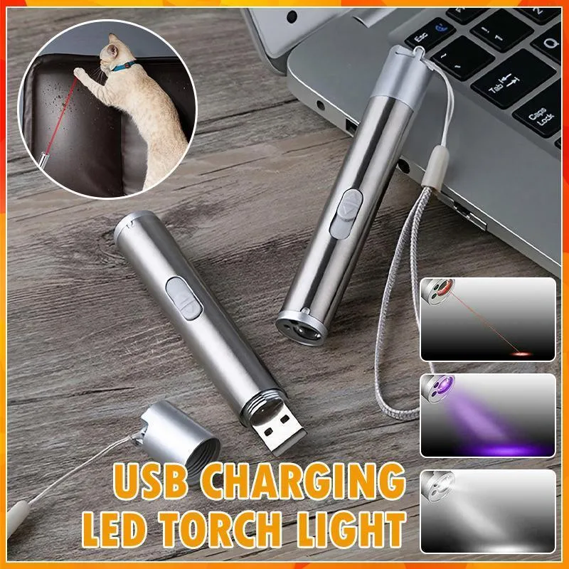 3 in 1 Multi Function Premium Cat Toy Laser Pointer USB Charging LED Torch Light