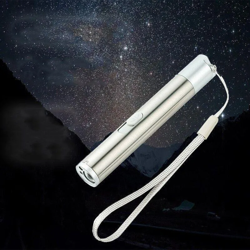 3 in 1 Multi Function Premium Cat Toy Laser Pointer USB Charging LED Torch Light