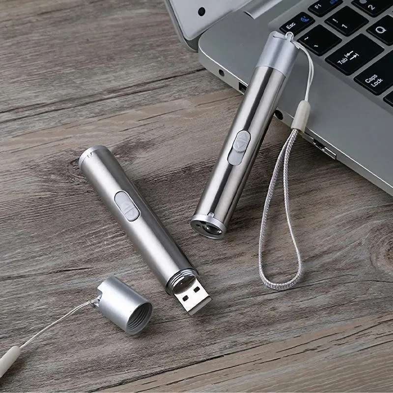 3 in 1 Multi Function Premium Cat Toy Laser Pointer USB Charging LED Torch Light