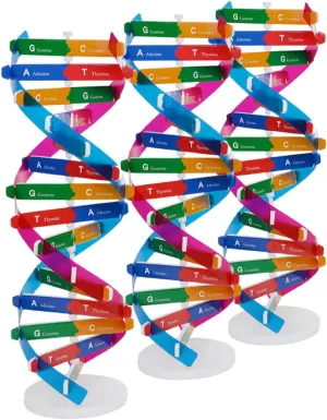 3 Pcs DIY Double Helix DNA Model Kit Educational Molecular Structure for Biology Students Interactive Learning Tool for Classroom and Collaborative Activities