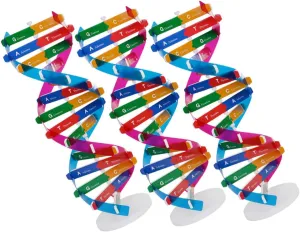 3Pcs DNA Model Kit DIY Double Helix Educational Tool for Students Engaging Molecular Structure for Classroom Learning and Collaborative Activities