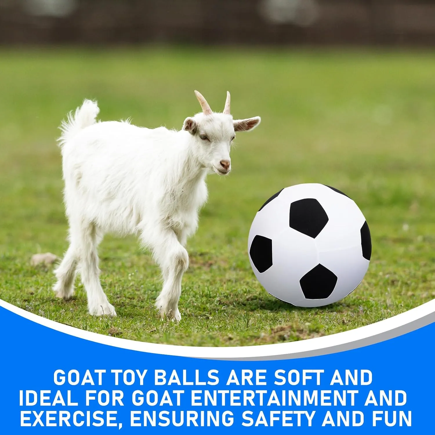 4 Pcs 2 Set Goat Ball Toy with Covers Anti Burst Training Toy with Inflator Pump Goat Balls for Play Yoga Outdoor Entertainment(Blue and Silver,18inch)
