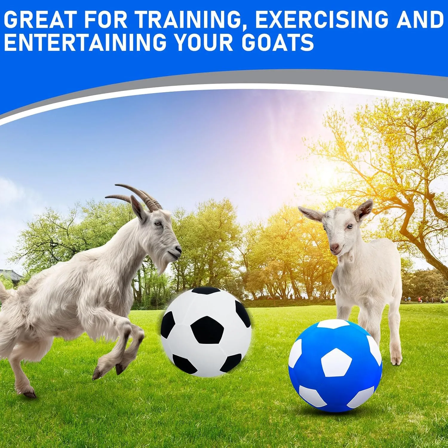 4 Pcs 2 Set Goat Ball Toy with Covers Anti Burst Training Toy with Inflator Pump Goat Balls for Play Yoga Outdoor Entertainment(Blue and Silver,18inch)