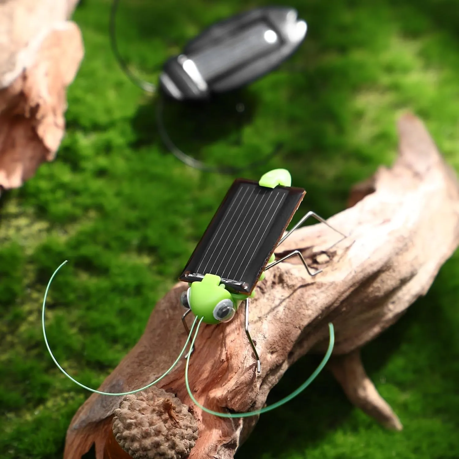 6PCS Solar Powered Bugs Toys Lifelike Solar Crickets Grasshopper Insect Toys for Boys Girls - Fake Roaches Moving Solar Toys Simulation School Science Educational Toys