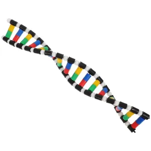 Alipis DNA Model Kit Interactive Learning Tool Plastic Material for Classroom Research