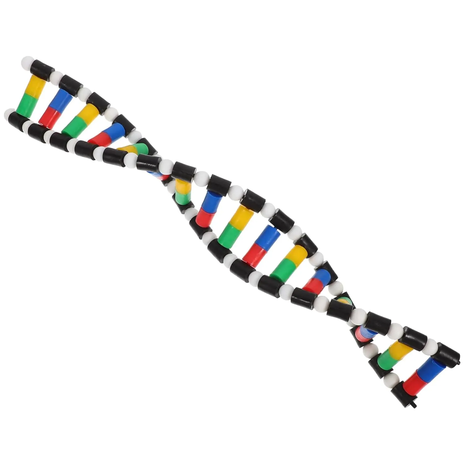 Alipis DNA Model Kit Interactive Learning Tool Plastic Material for Classroom Research
