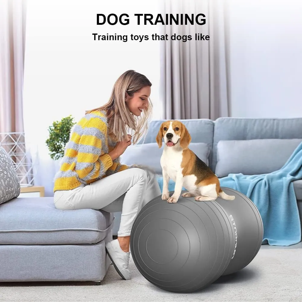 Anti-Burst Peanut Ball – High Weight Capacity Exercise Ball for Birth, Yoga, Pilates & Physical Therapy, Eco-Friendly PVC Fitness Ball for Kids & Adults, Includes Pump