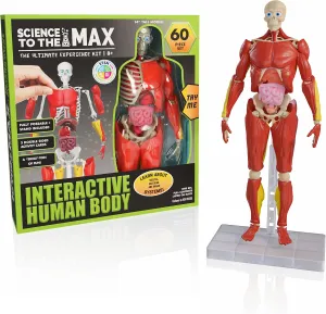Be Amazing! Toys Interactive Human Body - 60 Piece Fully Poseable Anatomy Figure – 14” Tall Model - Anatomy Kit – Removable Muscles, Organs,Bones STEM Toy – Ages 8 