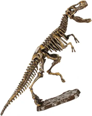 BESPORTBLE 1set Detachable Dinosaur Excavation Toy Interactive Archaeology Plaything for Boys and Girls Educational Cognitive Playset for Dinosaur