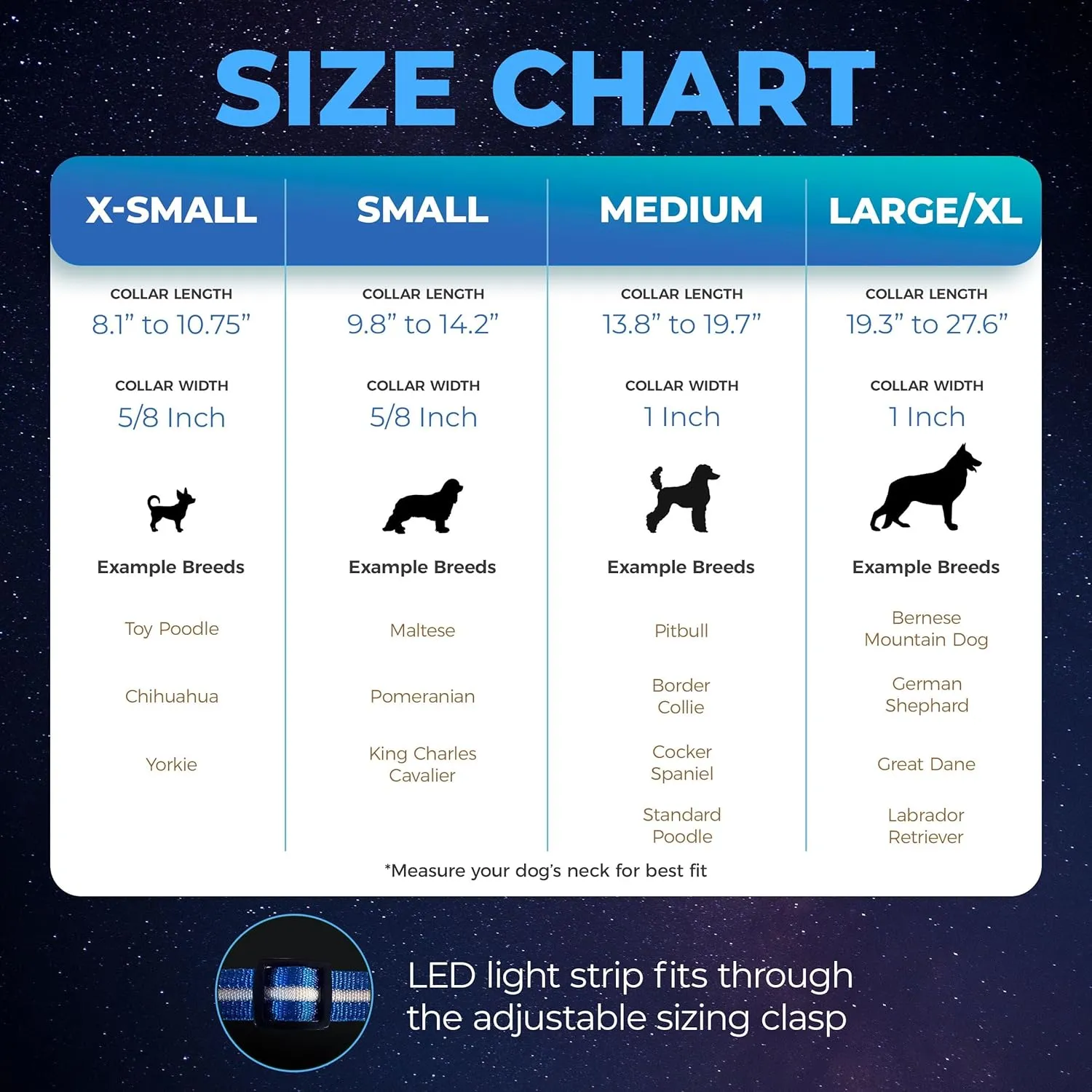 Blazin Light Up Dog Collar - The Original LED Dog Collar - USB Rechargeable - Waterproof - 1,000 Feet of Visibility - Dog Collar Light for Small, Medium, Large Dogs - USA Brand