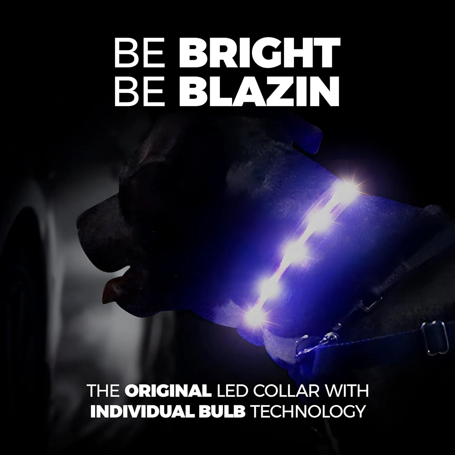 Blazin Light Up Dog Collar - The Original LED Dog Collar - USB Rechargeable - Waterproof - 1,000 Feet of Visibility - Dog Collar Light for Small, Medium, Large Dogs - USA Brand