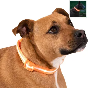 Blazin Light Up Dog Collar - The Original LED Dog Collar - USB Rechargeable - Waterproof - 1,000 Feet of Visibility - Dog Collar Light for Small, Medium, Large Dogs - USA Brand