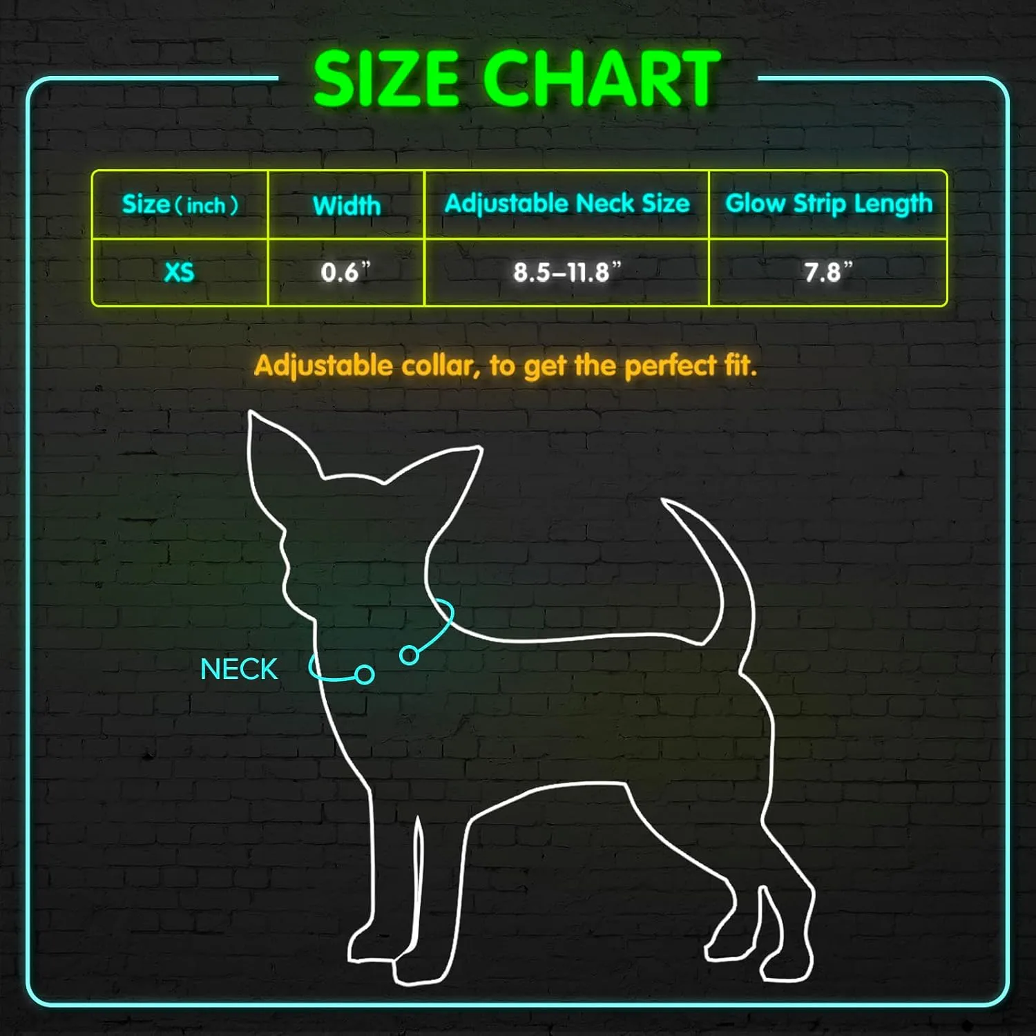 BSEEN Light Up Dog Collar - Reflective LED Dog Collar Rechargeable Glowing Cat Collars Adjustable Puppy Collar Safety Dog Lights for Night Walking (Blue, XS)