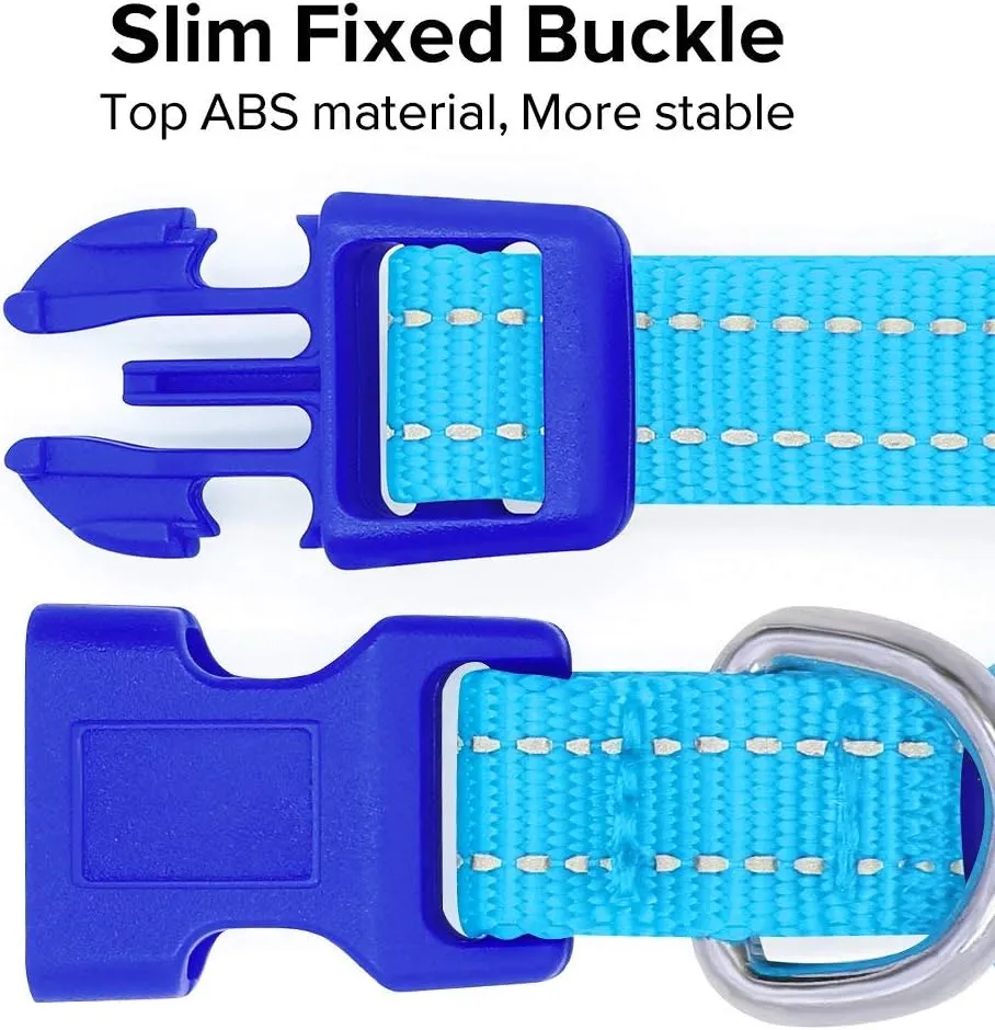 BSEEN Light Up Dog Collar - Reflective LED Dog Collar Rechargeable Glowing Cat Collars Adjustable Puppy Collar Safety Dog Lights for Night Walking (Blue, XS)