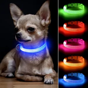 BSEEN Light Up Dog Collar - Reflective LED Dog Collar Rechargeable Glowing Cat Collars Adjustable Puppy Collar Safety Dog Lights for Night Walking (Blue, XS)