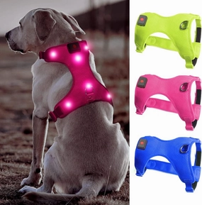 BSEEN LED Dog Harness, No Pull Light Up Dog Vest Rechargeable Lighted Pet Harness Safety Dog Lights for Night Walking (Rose Red, Medium)