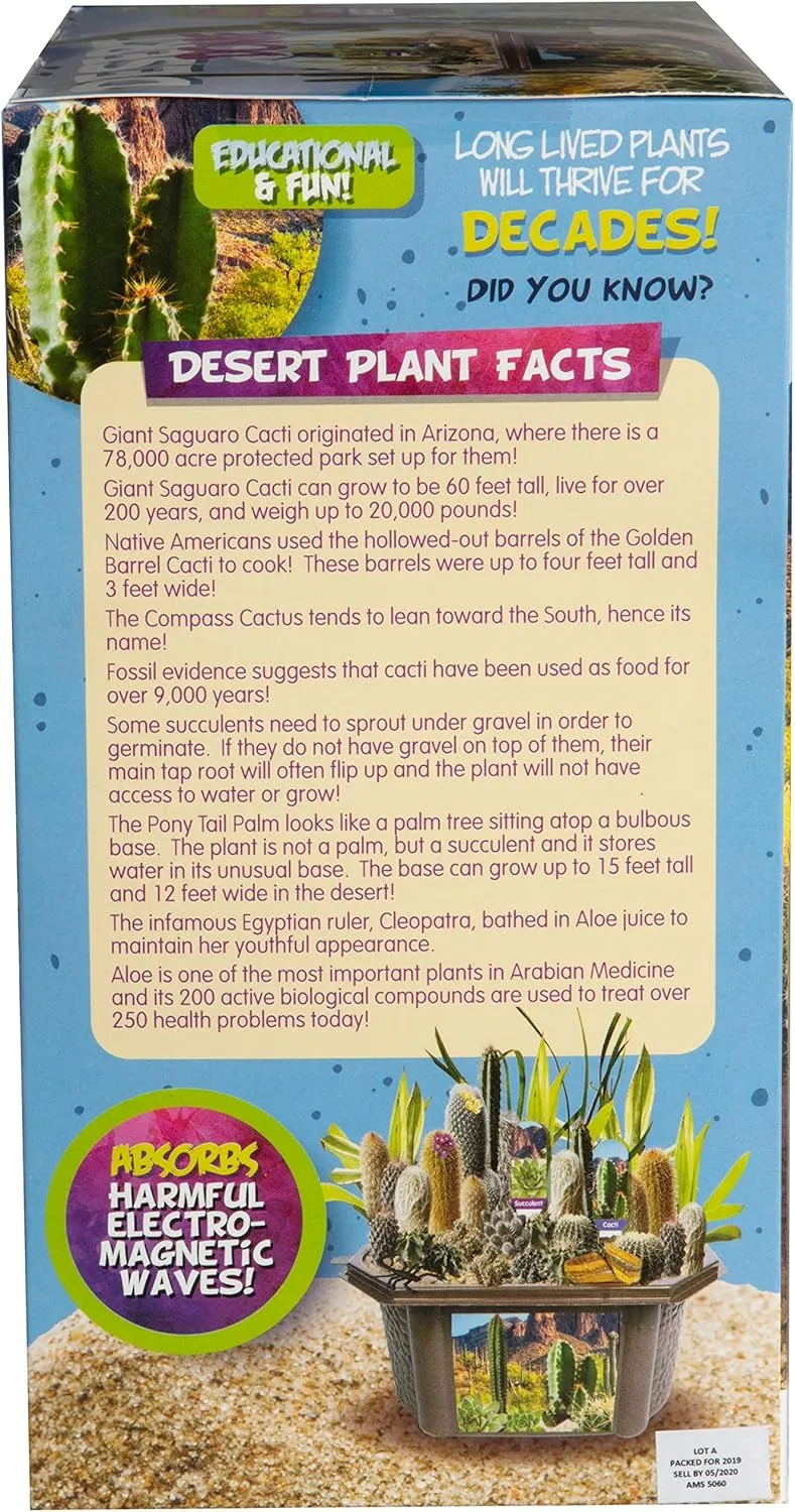 Cactus Succulent Seed Starter Kit - Complete Indoor Desert Terrarium Supplies Includes Potting Soil, Terrarium, Over A Dozen Desert Plant Seed Packets - DIY Kitchen Grow Kit