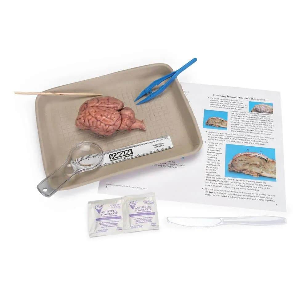 Carolina Sheep Brain Dissection Kit – Complete Anatomy Learning Set | Step-By-Step Guides, Tools, And Digital Resources | Ideal For Classroom And Homeschool Dissections