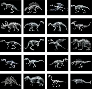 Chunful 20 Pcs Animal X-Ray Kit Wildlife X-Ray Flash Cards Educational Science Kit Light Table Toys Accessory, 11.7" x 8.3'' (Dinosaurs)