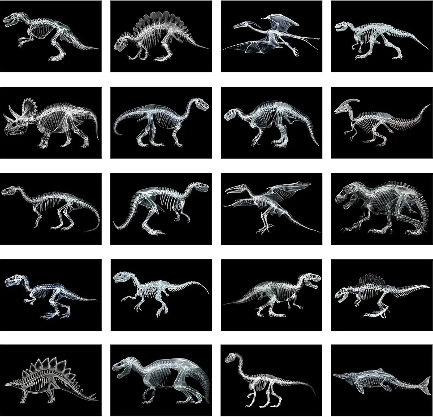 Chunful 20 Pcs Animal X-Ray Kit Wildlife X-Ray Flash Cards Educational Science Kit Light Table Toys Accessory, 11.7" x 8.3'' (Dinosaurs)