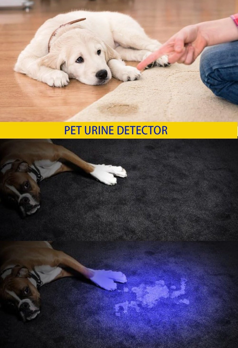 DARKBEAM UV 395nm USB Rechargeable Flashlight Ultraviolet led Light Blacklight Portable 400nm Mini Detector for Dog Urine Pet Stains, Anti-counterfeiting Identification, Resin Curing