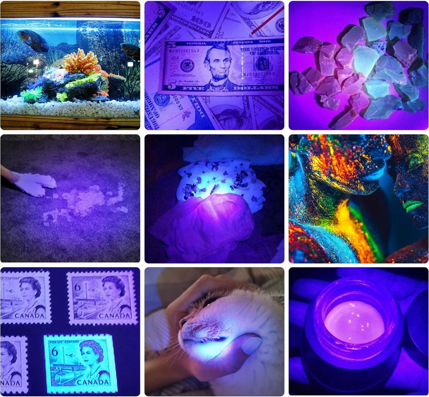 DARKBEAM UV Flashlight 395nm Blacklight Rechargeable USB, Wood's lamp Ultraviolet Black Light Handheld LED Portable with Clip, Resin Curing, Anti-Counterfeit, Detector for Pet Dog Urine, 2 Pack