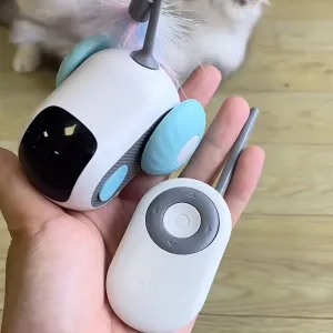 Dual-Mode Remote Control Electric Car Teasing Cat Toy