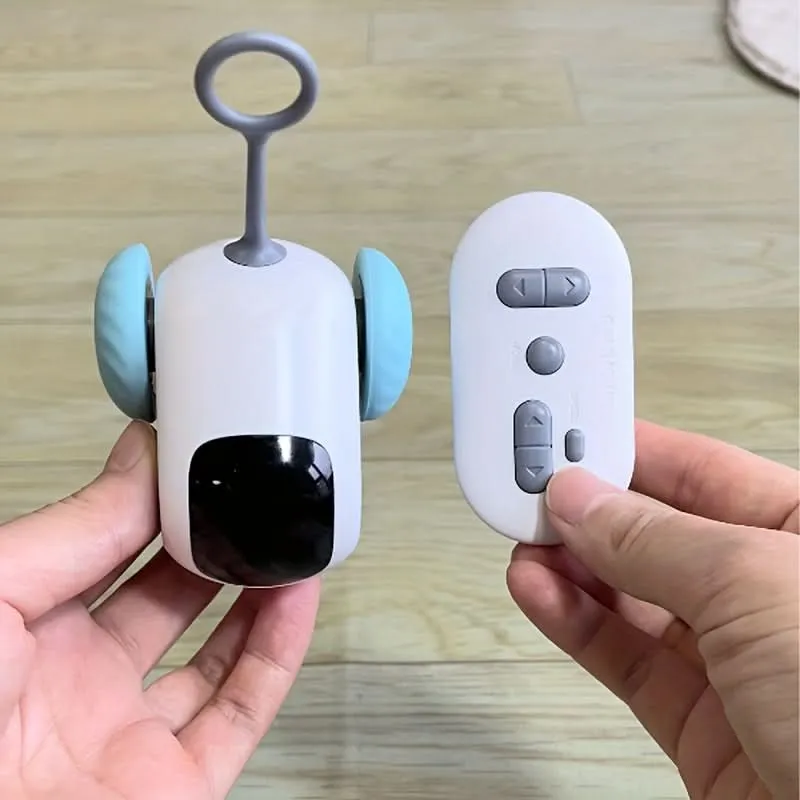 Dual-Mode Remote Control Electric Car Teasing Cat Toy