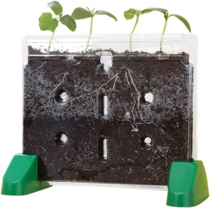 Educational Insights Sprout & Grow Window - See-Through Sprouts Growing Kit, Kids Gardening Set, Starter Science Kits for Kids, Root Viewer, Interactive Homeschool or Classroom Planter, Ages 5 
