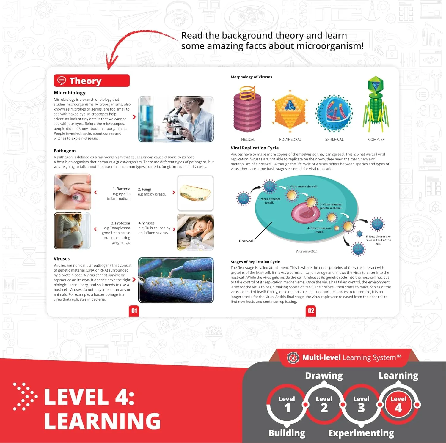 Engino: STEAM Labs Junior: How Viruses Works - 2 Model Brick Building Set, Toybook Series, Experiment & Art Activities, Play & Learn Science, Kids 8 