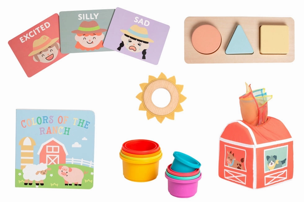 Farm Montessori Toy Kit 6-12M