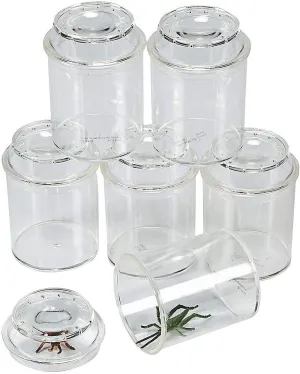 Fun Express See-Through Bug Box Jars – Set for Educational Science & Nature Exploration – Ideal for Kids Learning Activities – Insect Observation & Outdoor Adventures Clear-– 10 Pieces