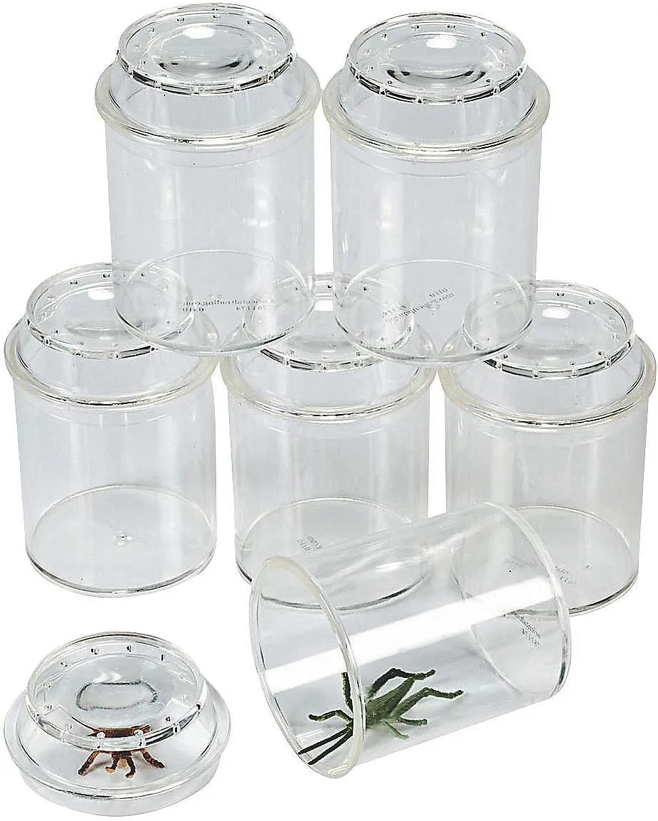 Fun Express See-Through Bug Box Jars – Set for Educational Science & Nature Exploration – Ideal for Kids Learning Activities – Insect Observation & Outdoor Adventures Clear-– 10 Pieces