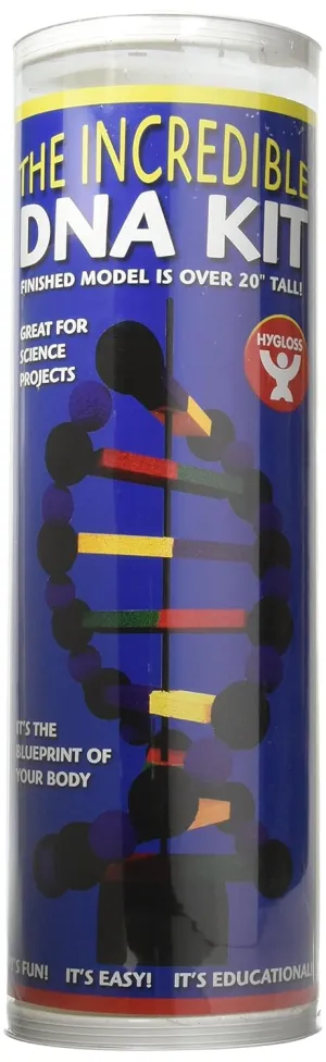 Hygloss DNA Kit Science Build a Model Molecule-Stem Classroom, 1 Set