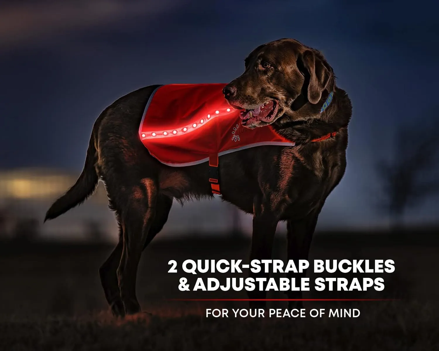 ILLUMISEEN LED Light Up Dog Hunting Vest | Ultra High Visibility Up to 350 Yards | 8 Light Color Options | USB Rechargeable, No Batteries Needed | Adjustable with Quick Release Buckles | Weatherproof