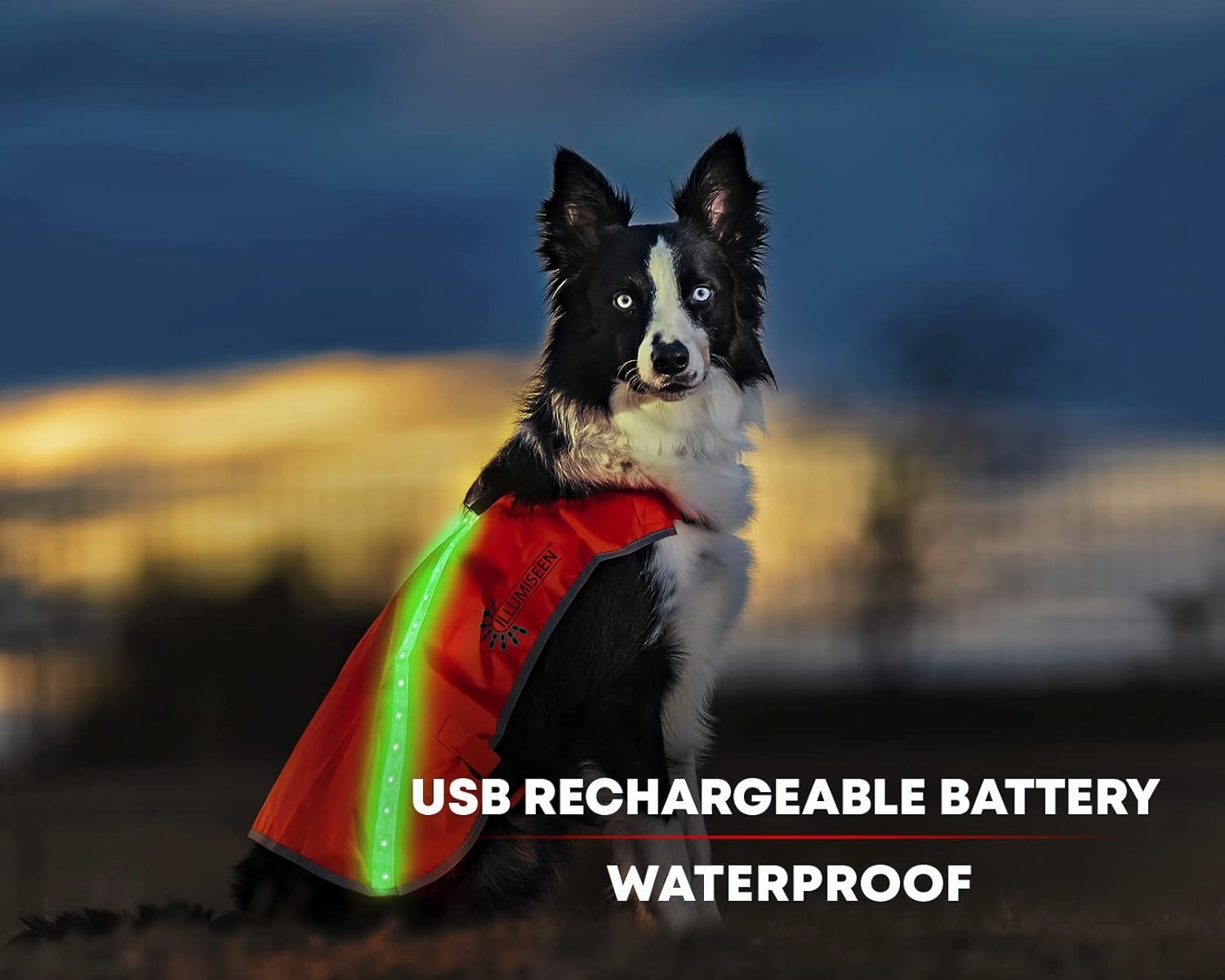 ILLUMISEEN LED Light Up Dog Hunting Vest | Ultra High Visibility Up to 350 Yards | 8 Light Color Options | USB Rechargeable, No Batteries Needed | Adjustable with Quick Release Buckles | Weatherproof