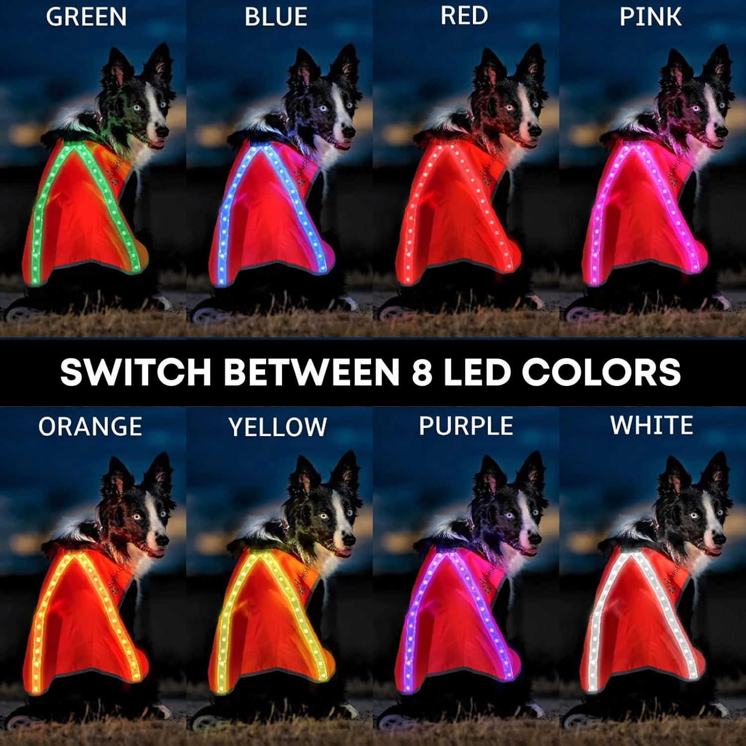 ILLUMISEEN LED Light Up Dog Hunting Vest | Ultra High Visibility Up to 350 Yards | 8 Light Color Options | USB Rechargeable, No Batteries Needed | Adjustable with Quick Release Buckles | Weatherproof
