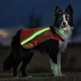 ILLUMISEEN LED Light Up Dog Hunting Vest | Ultra High Visibility Up to 350 Yards | 8 Light Color Options | USB Rechargeable, No Batteries Needed | Adjustable with Quick Release Buckles | Weatherproof