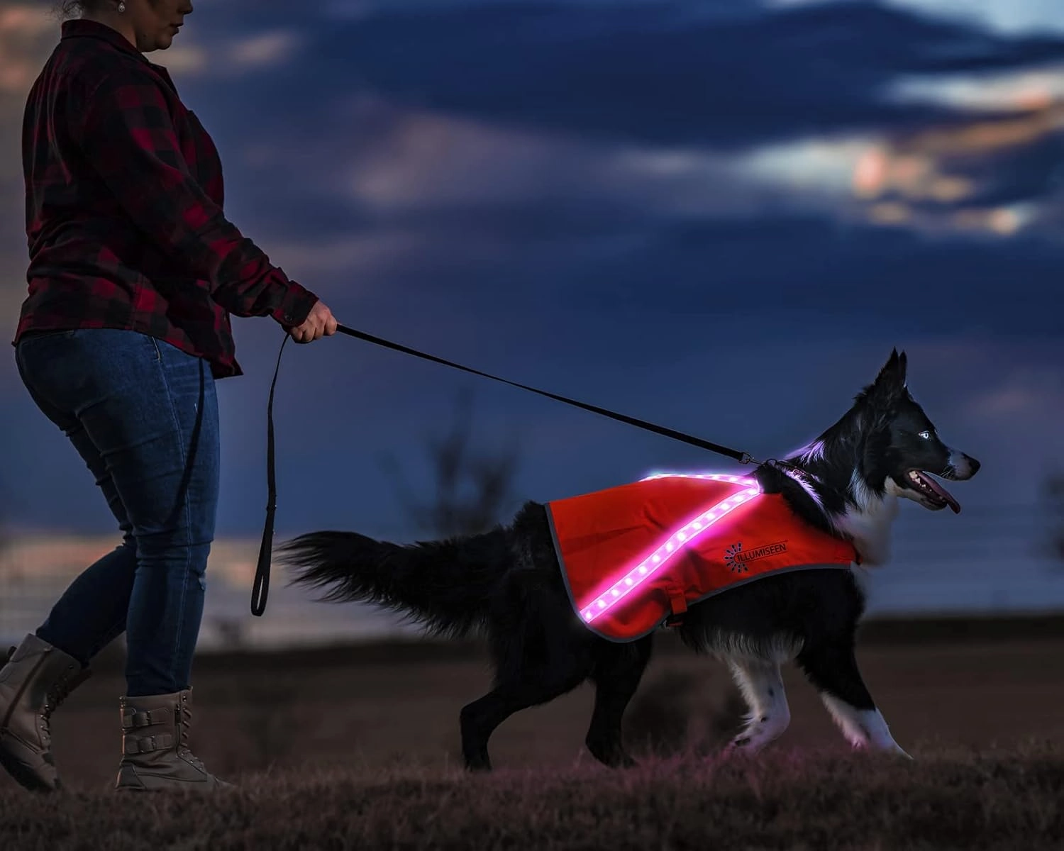 ILLUMISEEN LED Light Up Dog Hunting Vest | Ultra High Visibility Up to 350 Yards | 8 Light Color Options | USB Rechargeable, No Batteries Needed | Adjustable with Quick Release Buckles | Weatherproof