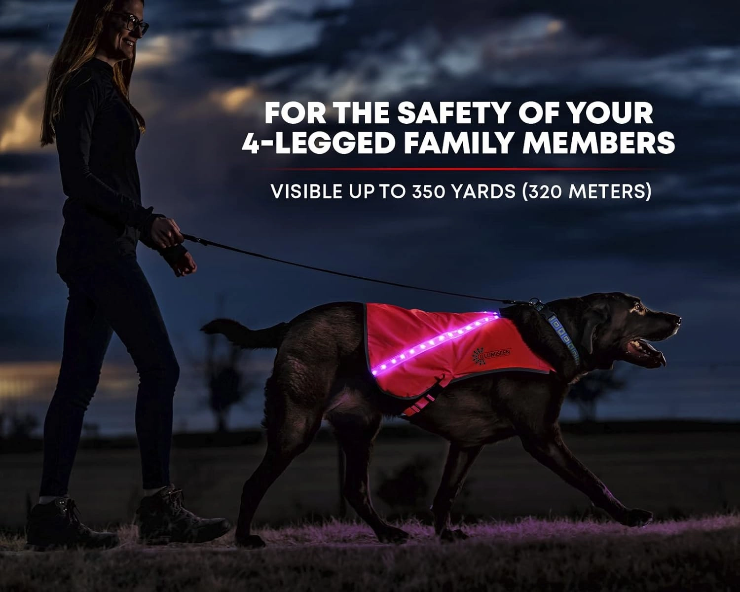 ILLUMISEEN LED Light Up Dog Hunting Vest | Ultra High Visibility Up to 350 Yards | 8 Light Color Options | USB Rechargeable, No Batteries Needed | Adjustable with Quick Release Buckles | Weatherproof