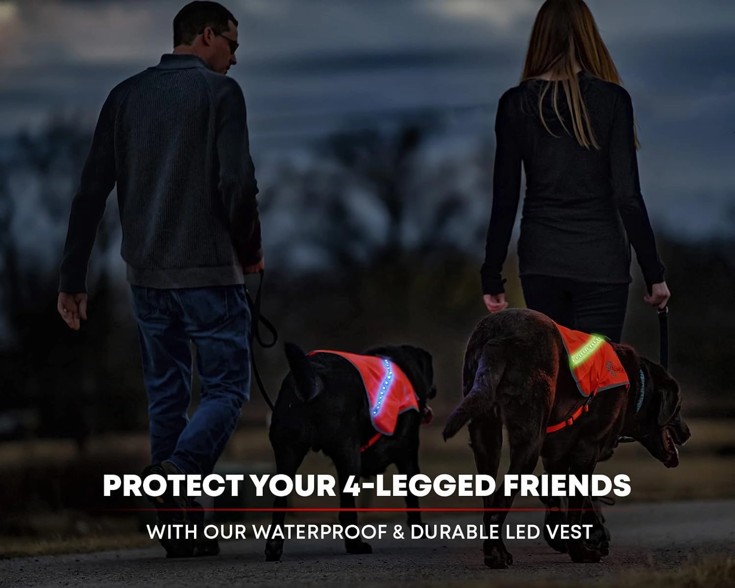 ILLUMISEEN LED Light Up Dog Hunting Vest | Ultra High Visibility Up to 350 Yards | 8 Light Color Options | USB Rechargeable, No Batteries Needed | Adjustable with Quick Release Buckles | Weatherproof