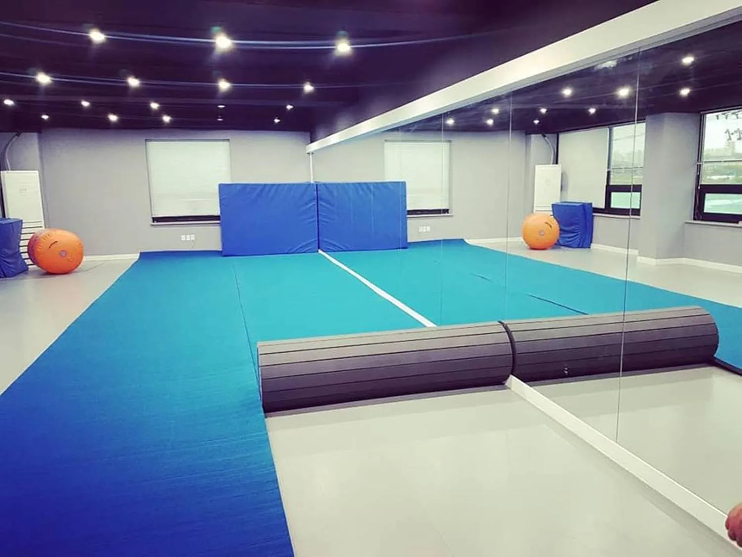 Indoor Gymnastics Exercise Mat - Grippy Carpet Top, Sturdy Foam for MMA, Cheerleading, Fitness - Roll Out Design for Easy Setup