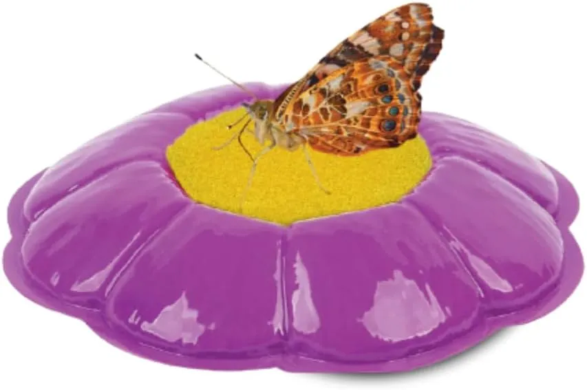 Insect Lore Butterfly Farm™ | Butterfly Kit with Live Cup of Caterpillars | 5 Caterpillars, Reusable Habitat, STEM Butterfly Journal & More
