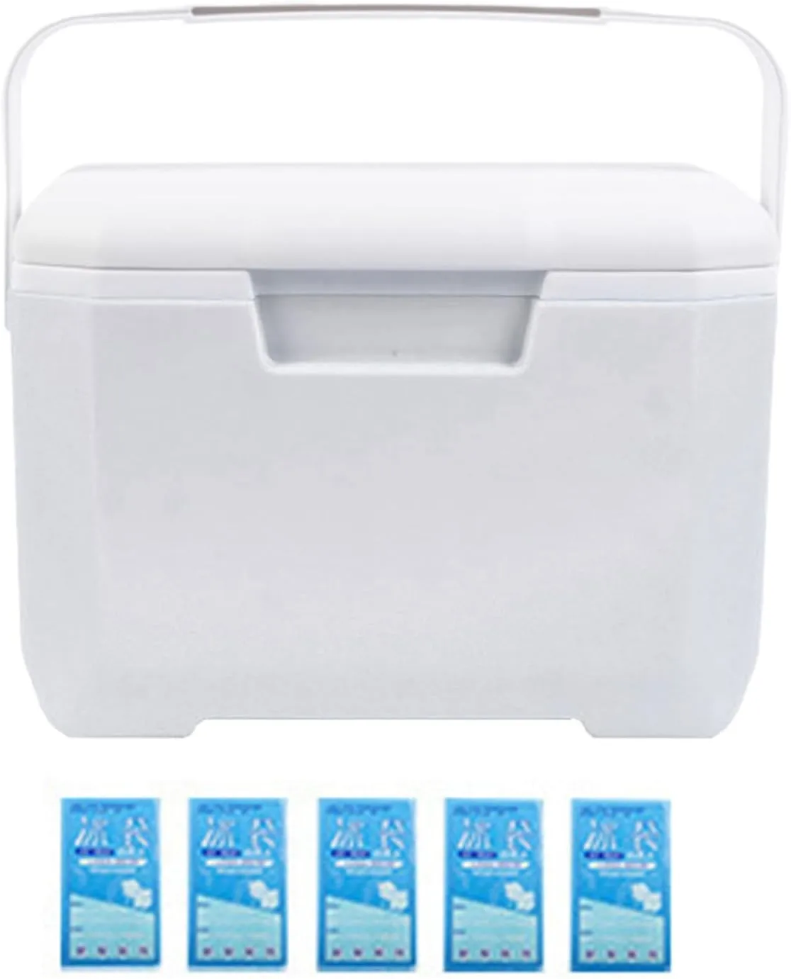 Insulated Portable Cooler, 6L Portable Hard Cooler Box – Leakproof Lightweight Ice Chest for Camping Beach & Picnic All-Season Insulation with Heavy Duty Handle (Fits 24 Cans)