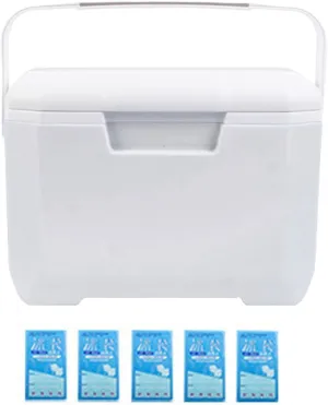 Insulated Portable Cooler, 6L Portable Hard Cooler Box – Leakproof Lightweight Ice Chest for Camping Beach & Picnic All-Season Insulation with Heavy Duty Handle (Fits 24 Cans)