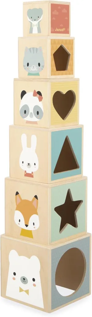 Janod J05147 First Wooden Pyramid - 6 Cubes Stacking Toy - Develops Dexterity and Imagination - Early Ages 12 Months from 12 Months, Multi-Coloured