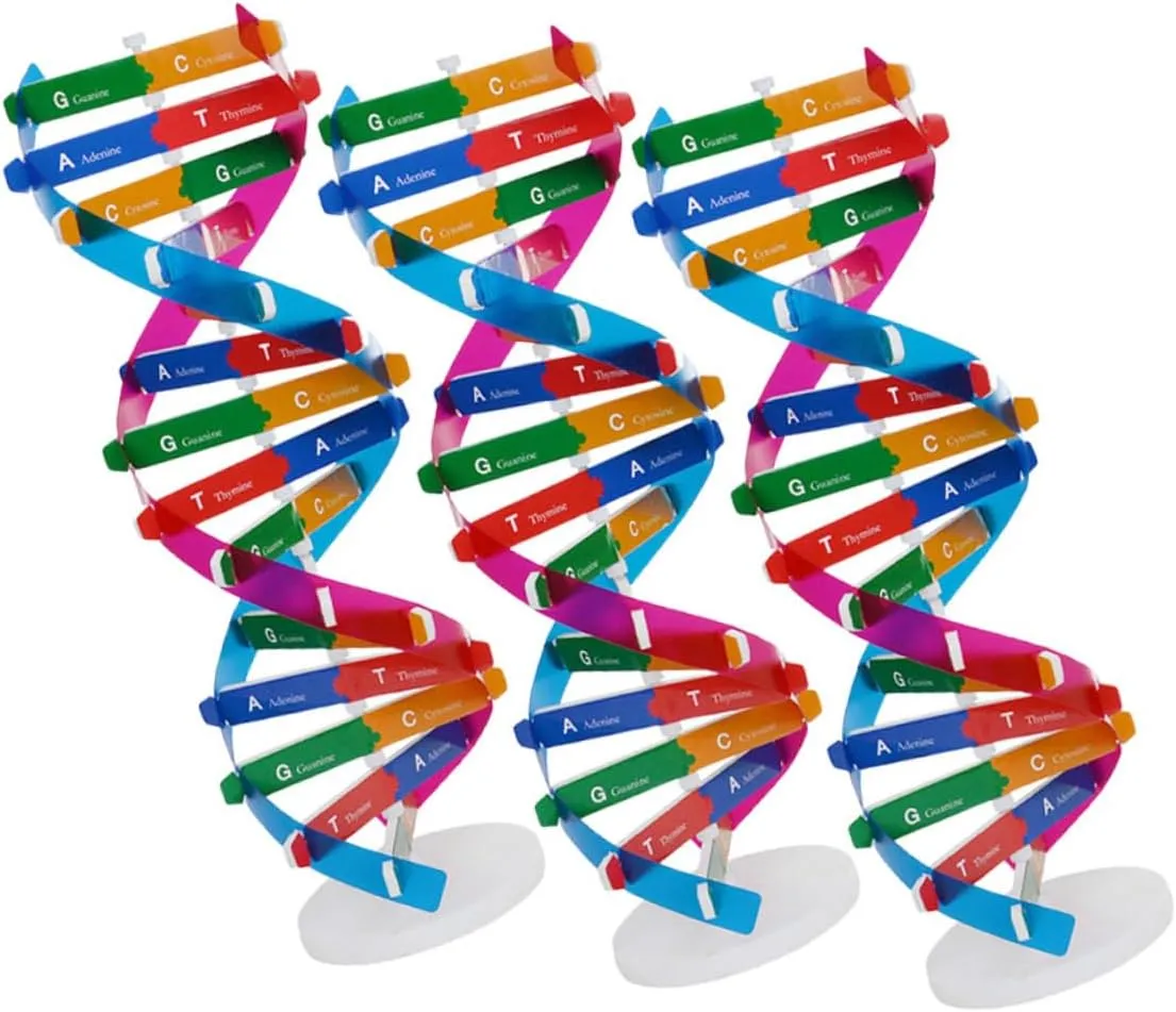 KICHOUSE 3Pcs Accurate Double Helix Model for Human Genes Education DIY Science Tool for Classroom Projects and Creative Learning